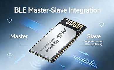 Bluetooth-module-host-computer