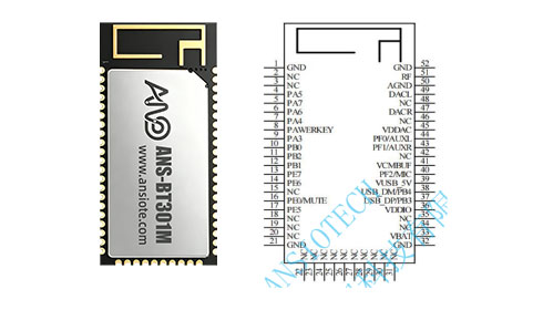 ANS-BT301M-pinout-diagram