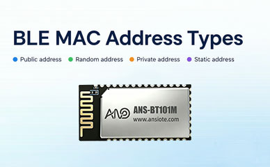BLE Bluetooth MAC Address Types